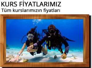 Dalış Kursu Fiyatları