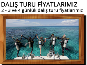 Tur fiyatlari