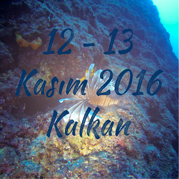 Kasim2016Kalkan