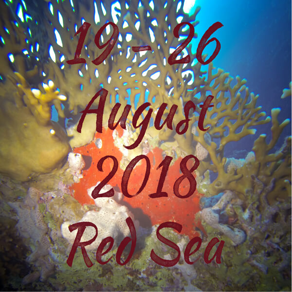 August2018RedSea