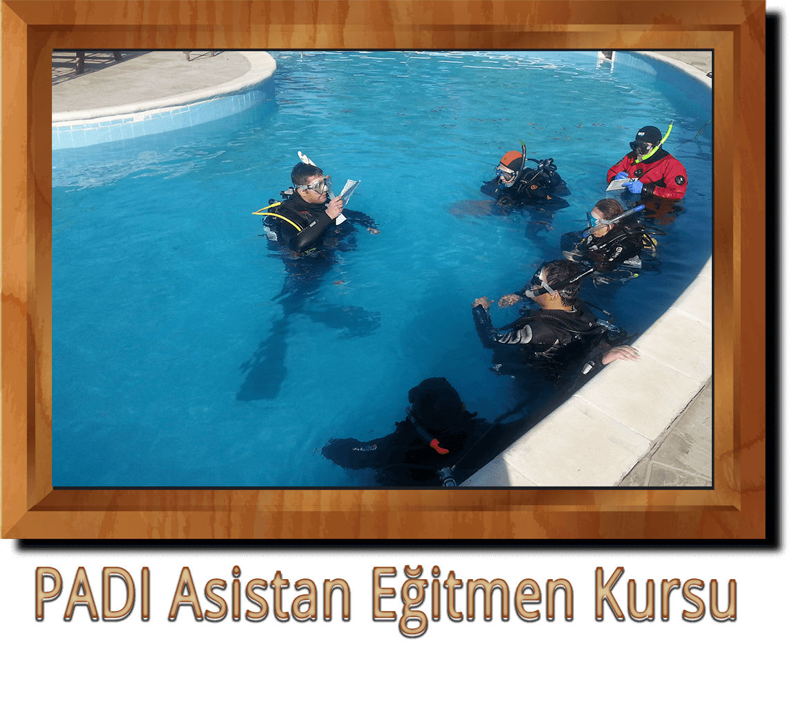 Asistan Egitmen Kursu Ankara