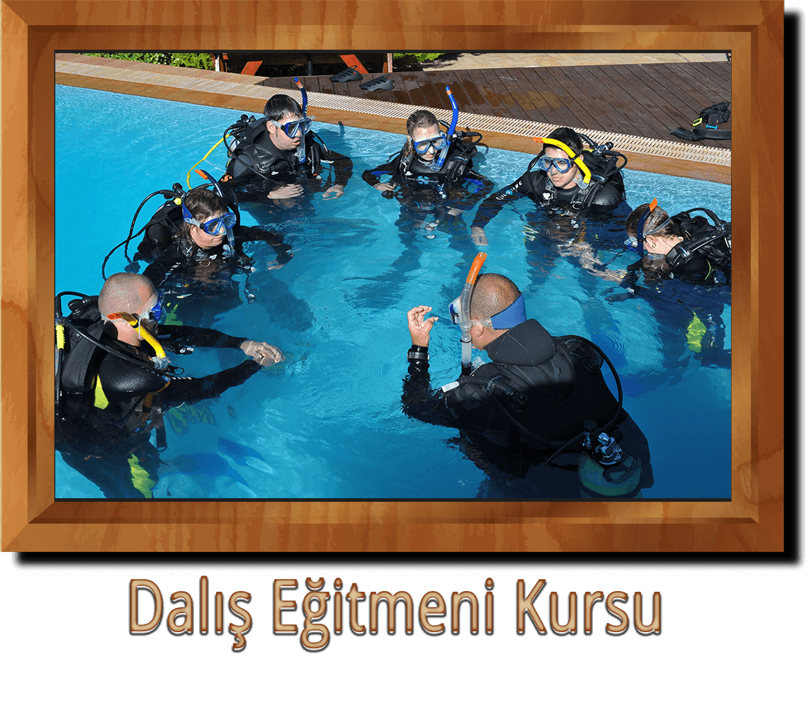 Dalis Egitmeni Kursu Ankara