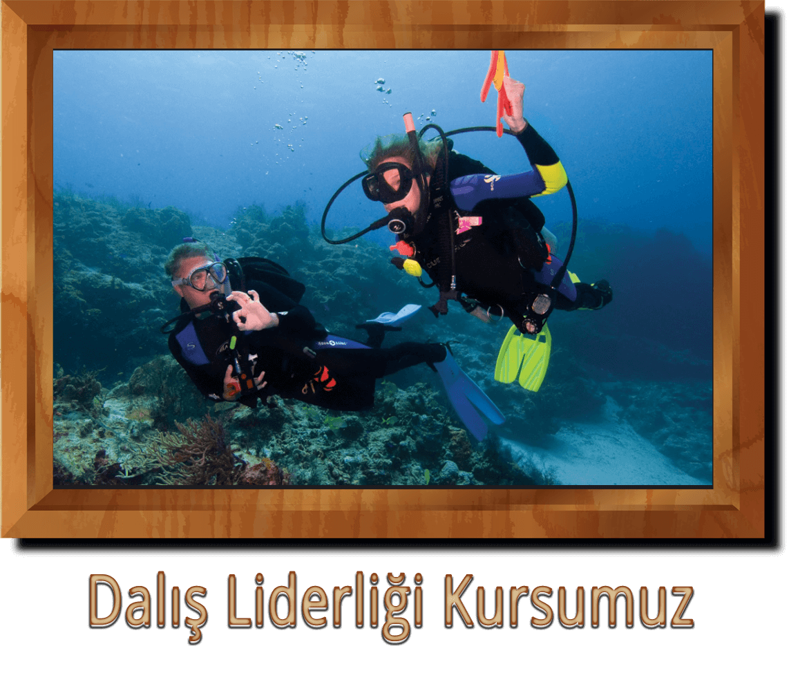 Dalis Liderligi Kursu Ankara