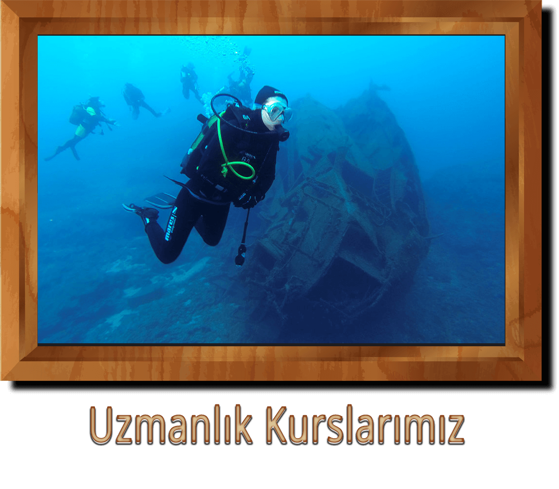 Dalista Uzmanlik Kurslari Ankara