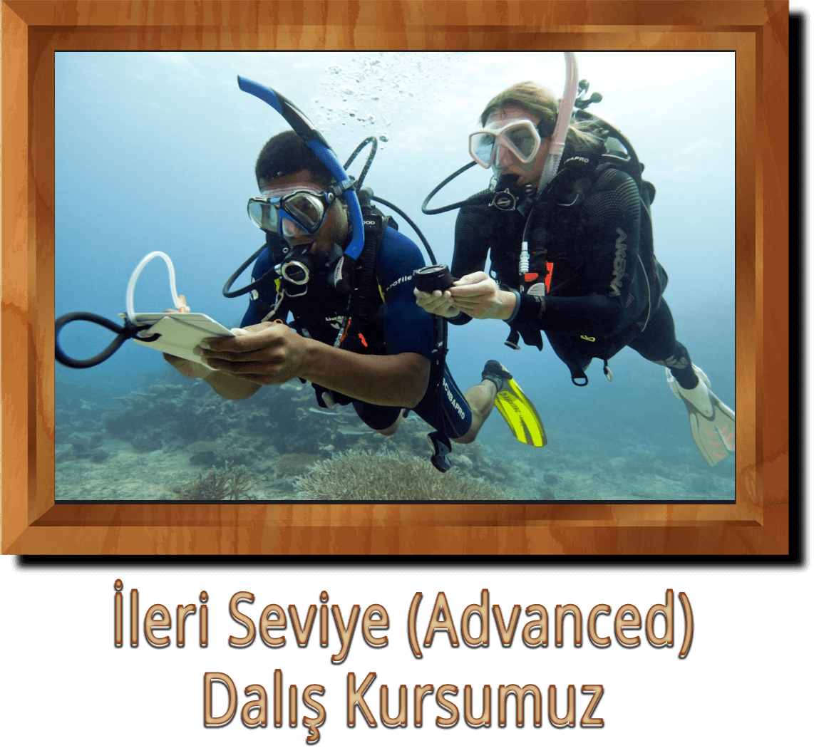 Ileri Seviye Dalis Kursu Ankara
