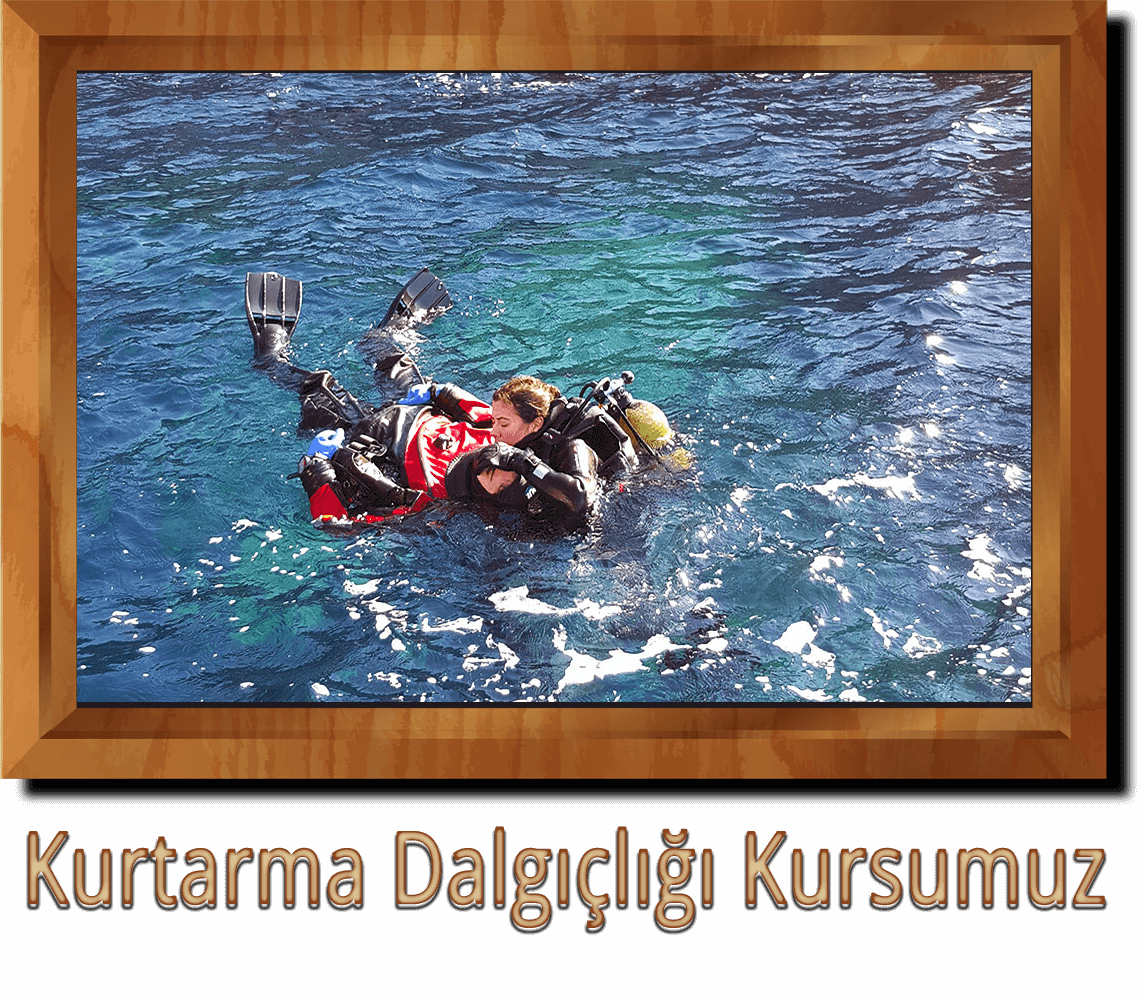 Kurtarma Dalgicligi Kursu Ankara