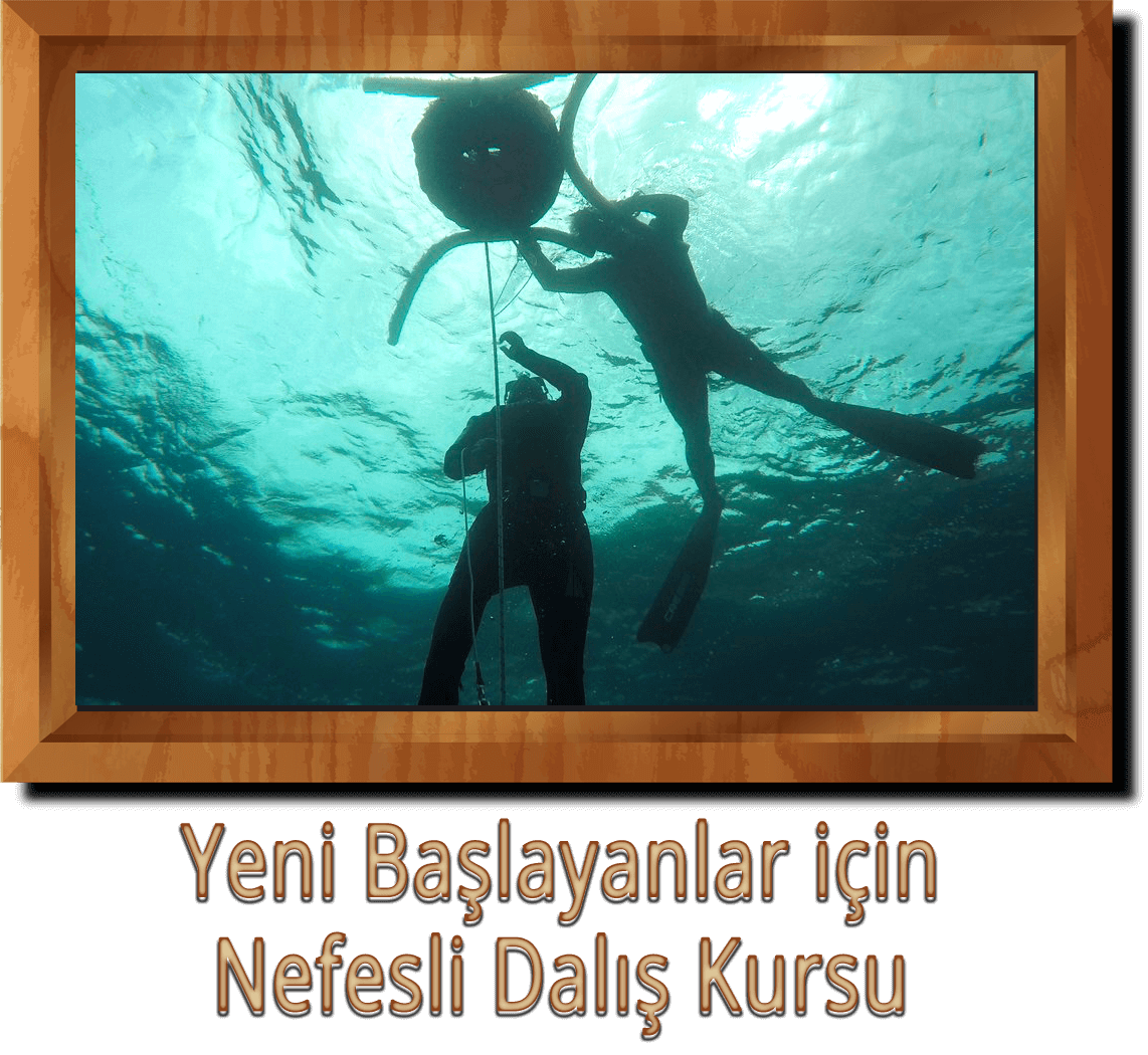 Nefesli Dalis Kursu Ankara