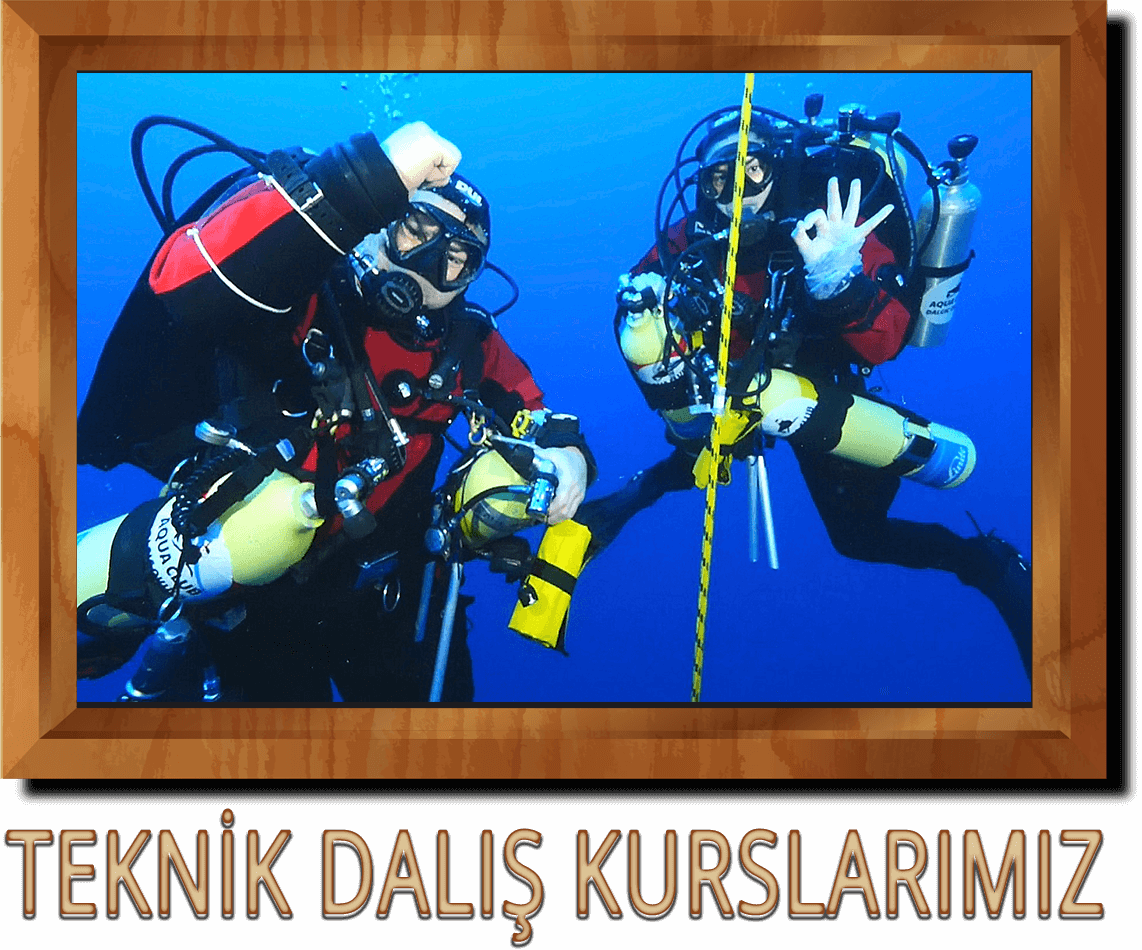 TEKNIK DALIS KURSLARIMIZ