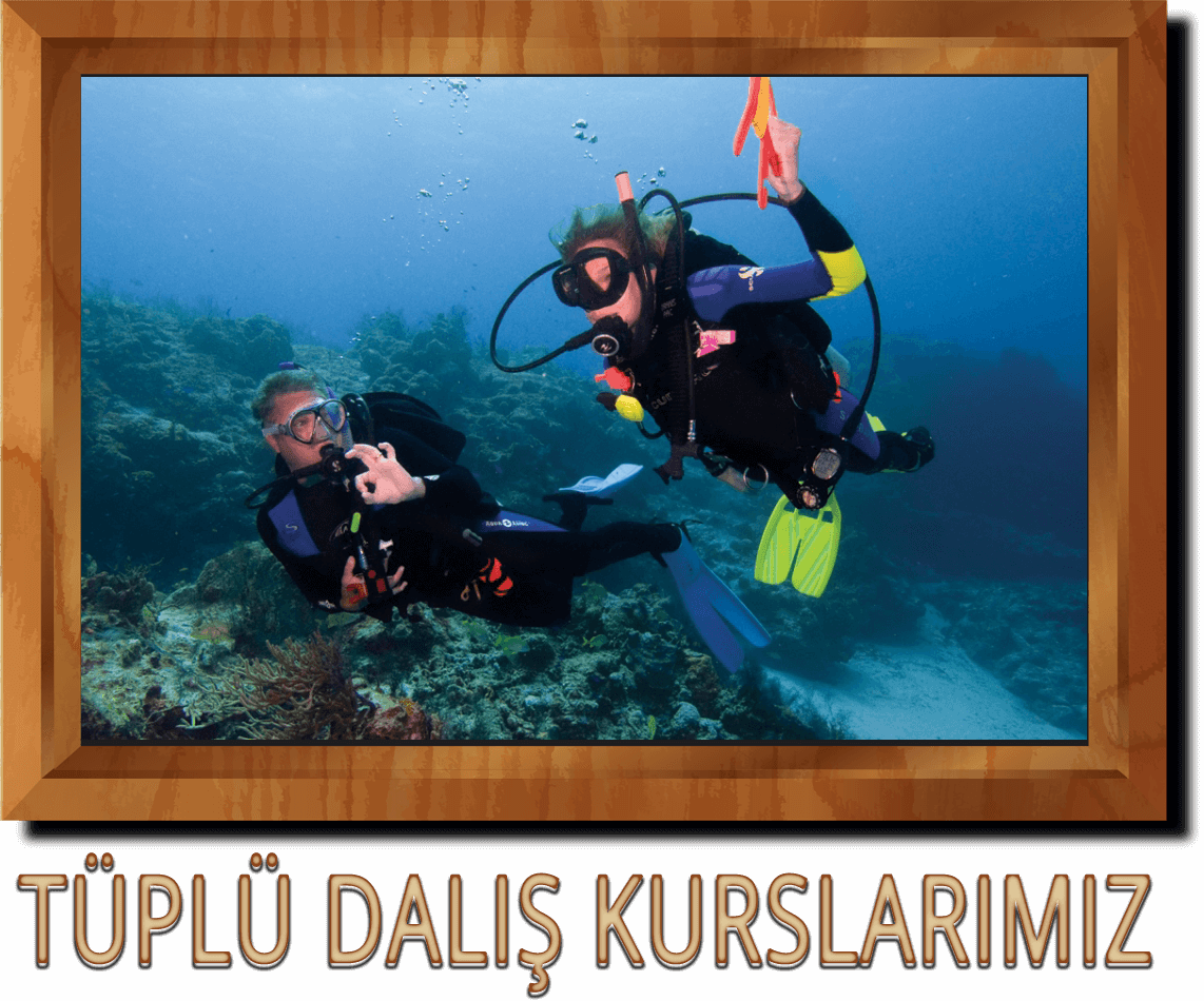 TUPLU DALIS KURSLARIMIZ