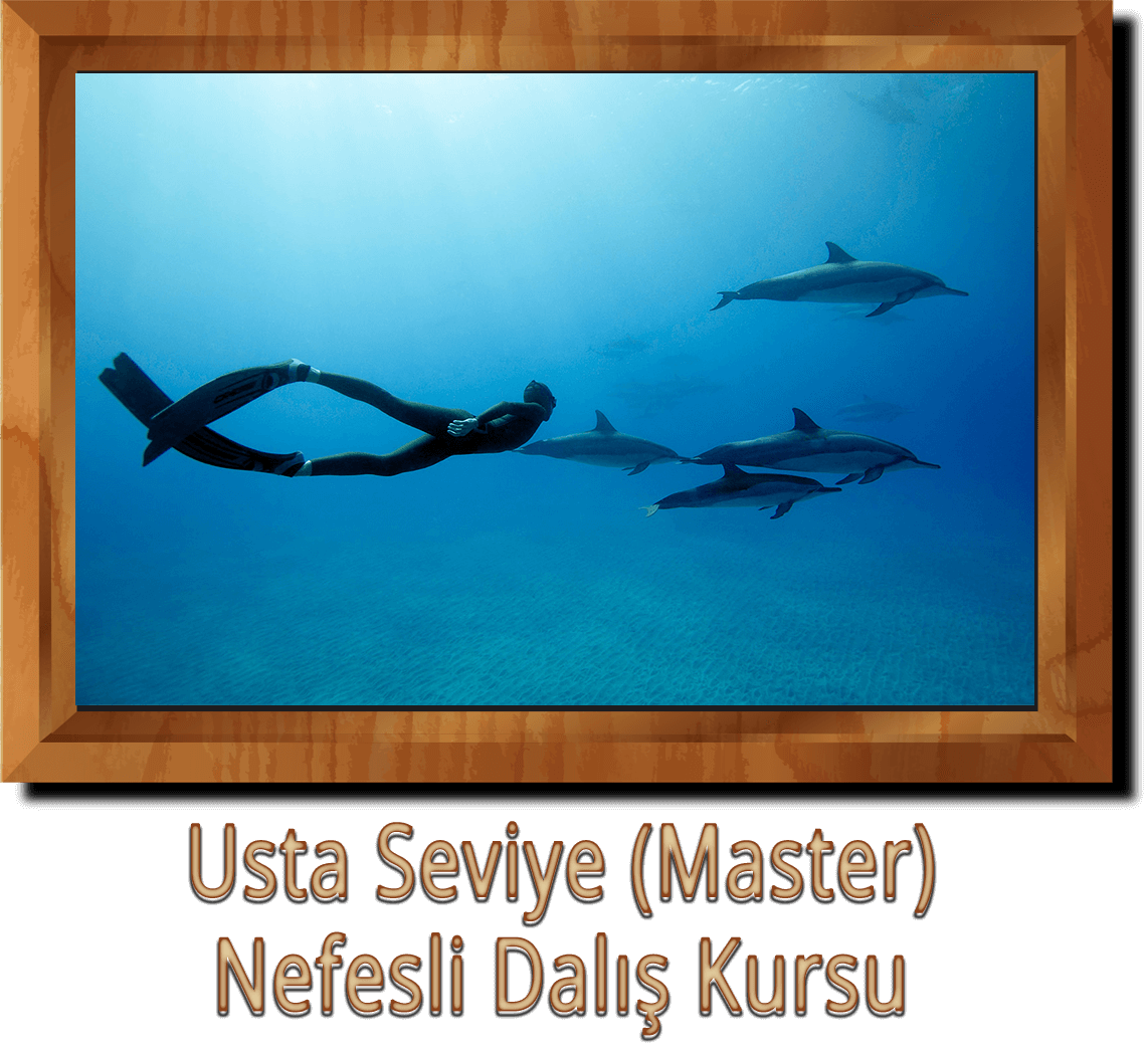 Usta Seviye Nefesli Dalis Kursu Ankara