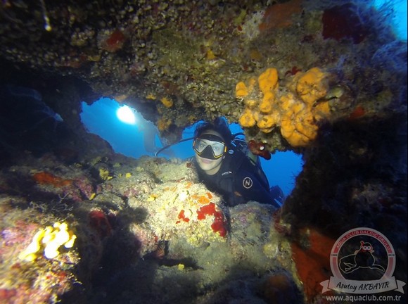 Kasim2016Kalkan2 (2)