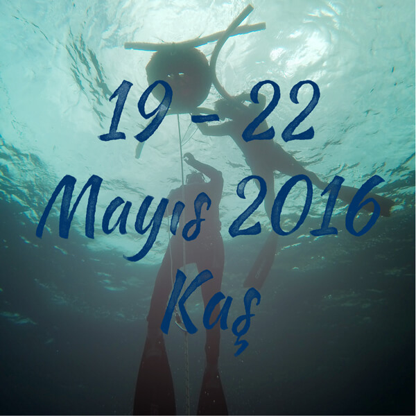 Mayis2016Kas
