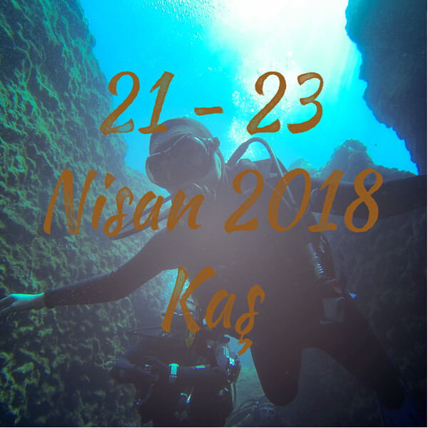 Nisan2018Kas